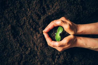 Use Topsoil for Your Gardening Projects!
