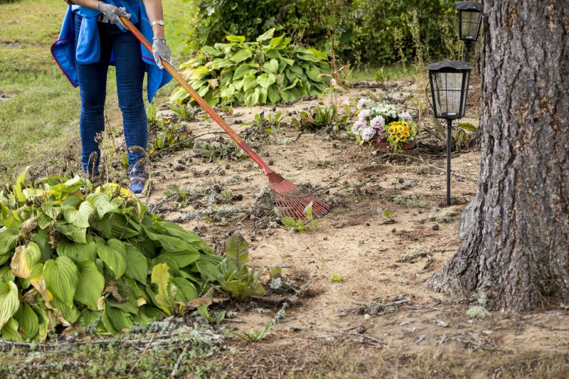 Property Line Clearing in Salt Lake City, UT