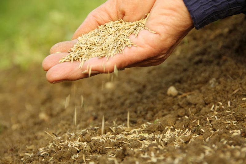 Topsoil Spreading Costs — Cost of Topsoil Spreading