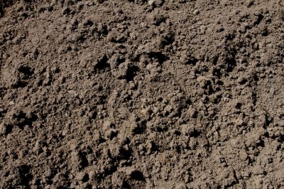 Ensure Your Landscaping is Beautiful with Topsoil Spreading Service!