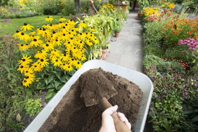 Good Topsoil Leads to Healthier Plants and Gardens!